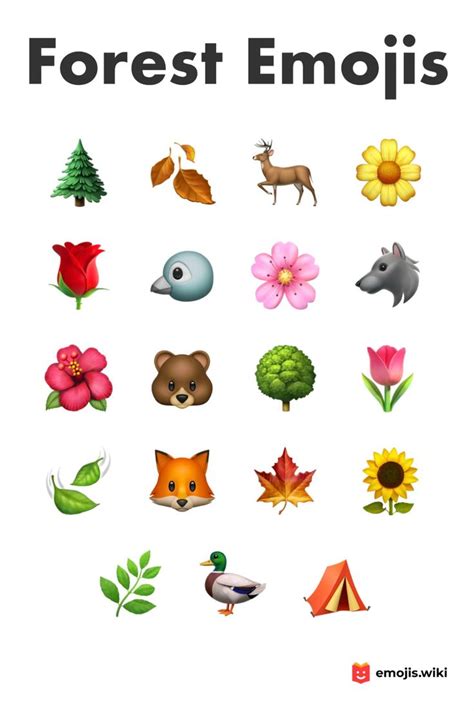 🌲🍂🦌 Forest Emojis Autumn Forest Forest Emoji