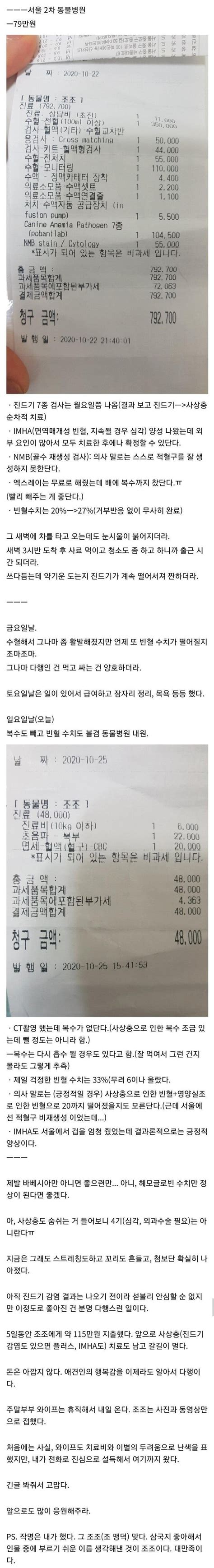 유기견 치료에 100만원 넘게 쓴 사람 유머움짤이슈 에펨코리아