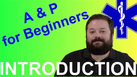 Anatomy And Physiology For Beginners Ep 1 Introduction Youtube