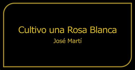 An Lisis Poema Cultivo Una Rosa Blanca Jos Mart