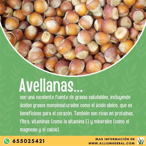 Las Avellanas Fuente De Omega Y Vitamina E