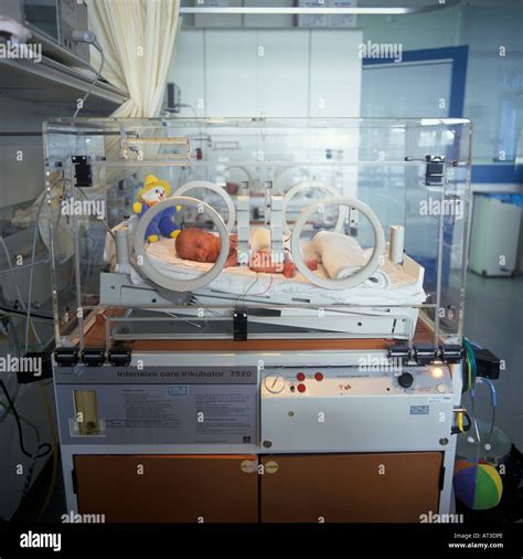 Premature baby in incubator Stock Photo - Alamy