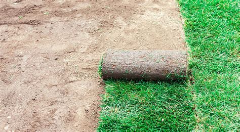 Pros And Cons Of Artificial Grass In Perth