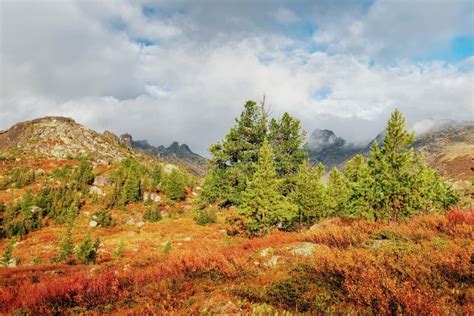 Autumn Forest High in the Mountains Peaks in the Clouds Christmas Trees Stock Photo - Image of ...