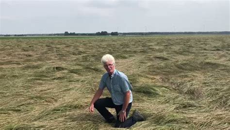 Dlf Bv On Twitter De Graszaadoogst Is In Volle Gang Het Is Maatwerk