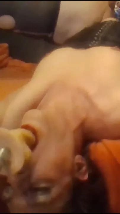 Sissy Alex Gets Face Fucked Gay Amateur Amateur Porn Feat Bound Sissy XHamster