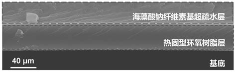 一种生物质基透明超疏水复合膜及其制备方法与流程