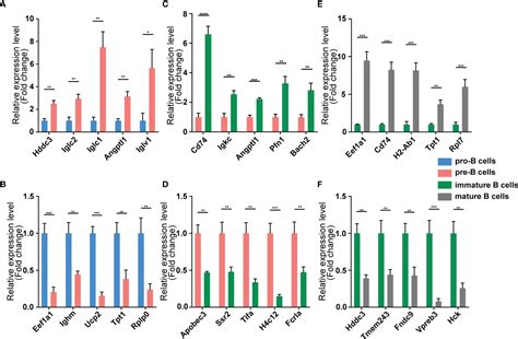 Frontiers Whole Transcriptome Profiling And Circrna Mirna Mrna