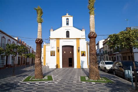 TEMPLO PARROQUIAL LOS PALACIOS Y VILLAFRANCA SANTA MARIA LA BLANCA