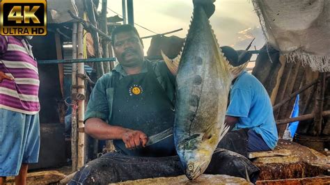 Kasimedu Speed Selvam Big Size Queen Trevally Fish Cutting K