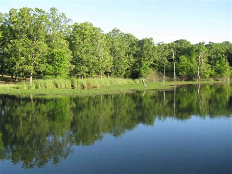 The Best Bass Fishing Lakes In Texas