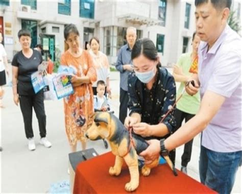 金岱街道辦事處開展「文明養犬社區行 爭做文明養犬人」趣味活動 每日頭條