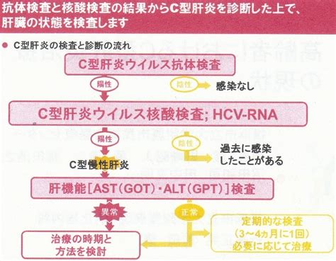 高齢者におけるc型肝炎治療の現状 中馬 誠 先生 川村内科診療所様