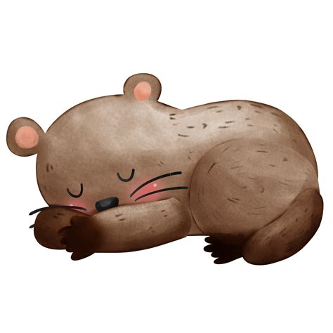 Cute Sleeping Groundhog Isolated 35135876 Png