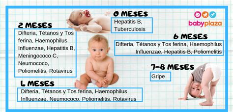 Calendario De Vacunaci N Vacunas Para Reci N Nacido