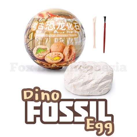 Jual Fossil Egg Mainan Gali Fosil Dinosaurus Bentuk Telur Arkeologi