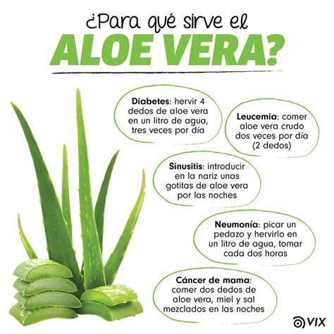 Para Que Sirve El Áloe Vera Aloe Vera Aloe Aloe Vera Juice