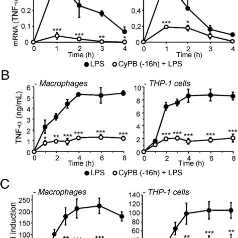 Cypb Inhibits Lps Induced Cytokine Production From Macrophages