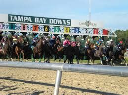 Tampa Bay Downs 2024