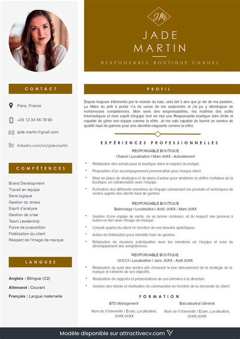 Exemples De Cv Professionnel Pour Se Démarquer En 2025