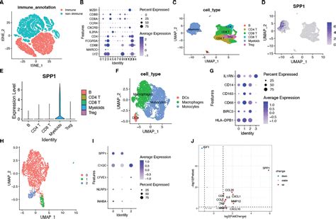 Frontiers A Senescence Based Prognostic Gene Signature For Colorectal