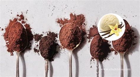 10 Vanilla Substitute For Cocoa Powder You Can Go For ChefsBliss