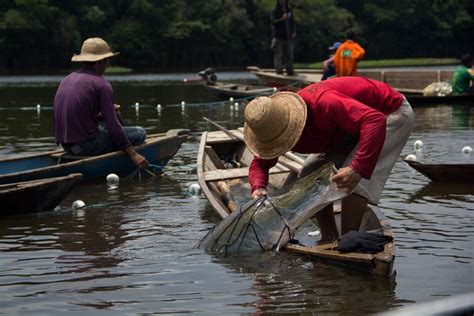 Pescadores da Amazônia já falam em impactos das alterações climáticas