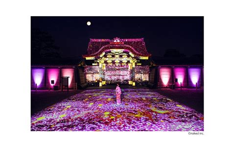 今年のNAKED桜まつりはプレミアムなお花見エリアが初登場二条城で幻想的な光のアートと夜桜を楽しんでみない京都