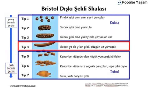 Rritabl Ba Rsak Sendromu Nedir Dr Kerem Kaya