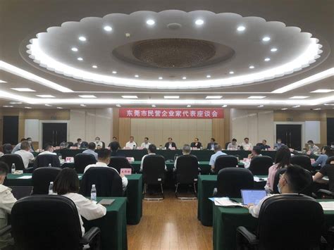 东莞召开民营企业家代表座谈会，为民营经济高质量发展提供支撑环境投资集团问题