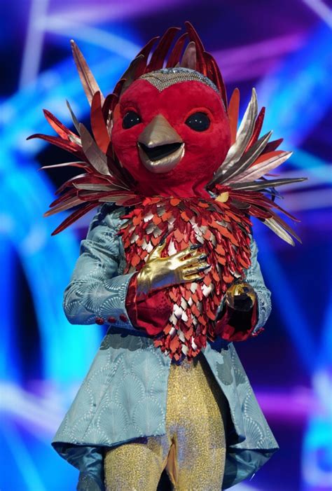 Who Is Robin On The Masked Singer Uk The Clues And Predictions For The