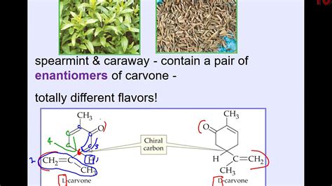 Chirality In Amino Acids Youtube