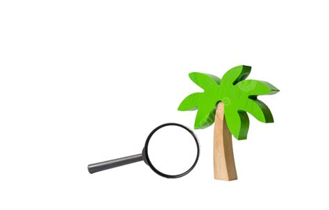 Tourism Concept Wooden Palm Tree Magnifying Glass On Tropical Island Search Turquoise