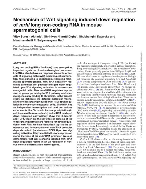 Pdf Mechanism Of Wnt Signaling Induced Down Regulation Of Mrhl Long