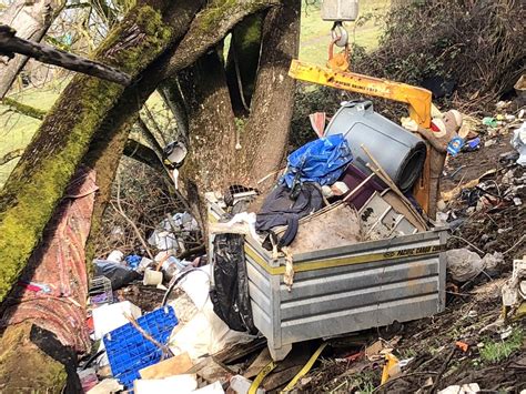 Maggie Vespa KGW - @Maggie_Vespa Portland, OR : Latest news, Breaking ...