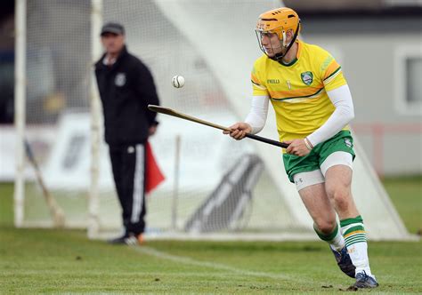 Five Laois Hurlers To Represent Ireland This Weekend At Hurlingshinty