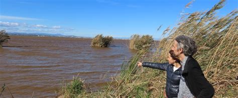 La Albufera y los riesgos de convertirse en la Doñana valenciana