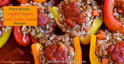 Plant Based Recipe Vegetable Stuffed Peppers With Lentils