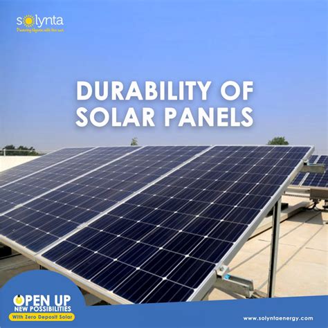 Durability Of Solar Panels Solynta Energy