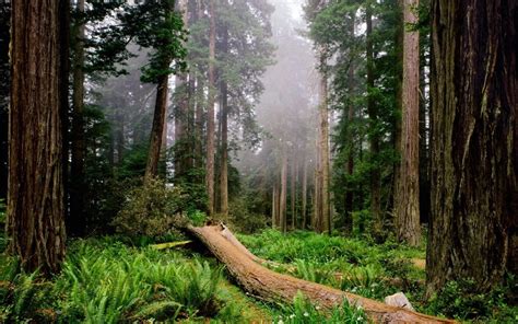 Nature / Around the World - National Geographic Wallpaper (7018172 ...