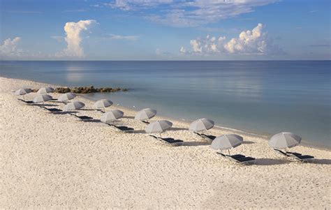 Things to Do and See in Naples, FL | Edgewater Beach Hotel