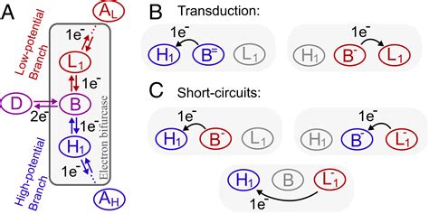 Universal Free Energy Landscape Produces Efficient And Reversible