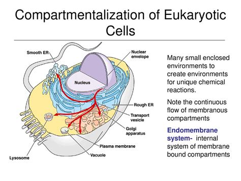 Cell Smallest Unit Of Life Ppt Download