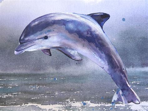 Watercolor Dolphin Tutorial Of Free Watercolor Tutorial