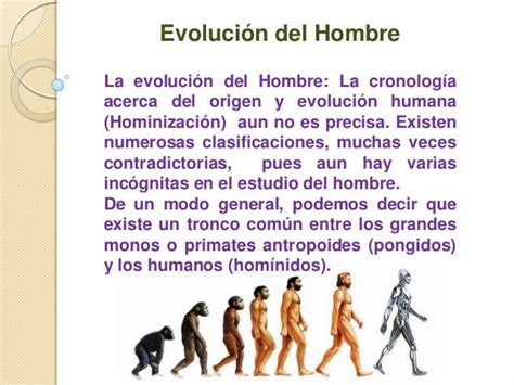 La evolución del hombre Cronología y origen