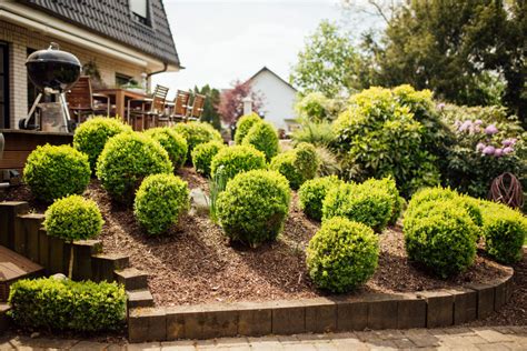 Kleine Str Ucher Und Immergr Ne Pflanzen Jonas Garten Und Landschaftsbau