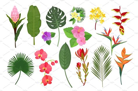 Decorative exotic flowers. Botanical | Background Graphics ~ Creative ...