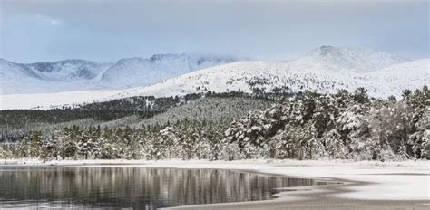 Winter Scene at Loch Morlich in the Cairngorms National Park of ...