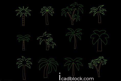 Palm Tree CAD Block Collection In DWG ICADBLOCK