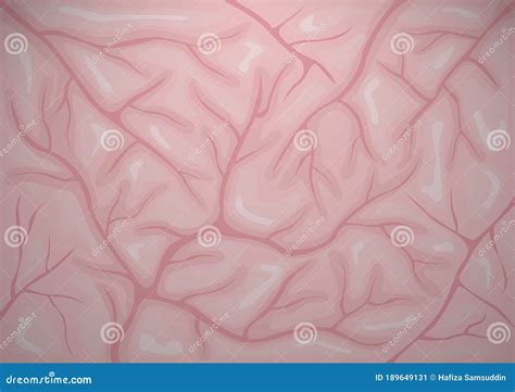 Brain Texture Background Vector Illustration Decorative Design Stock